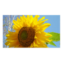 Tournesol fait sur commande de cartes de visite de cartes de visite personnelles