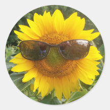 Tournesol heureux avec l'autocollant de lunettes d