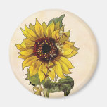 Tournesol Magnets Pour Réfrigérateur