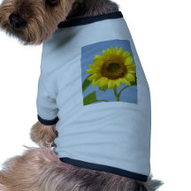 Tournesol Manteau Pour Toutous