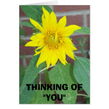 Tournesol, pensant à "VOUS " Cartes De Vœux
