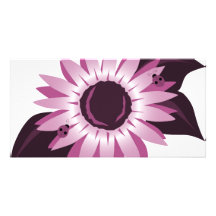 Tournesol rose avec des coccinelles carte avec photo