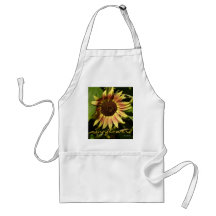 Tournesol rose fauve tablier