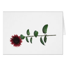 Tournesol rouge carte de vœux