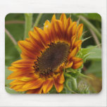 Tournesol rouge rouillé tapis de souris