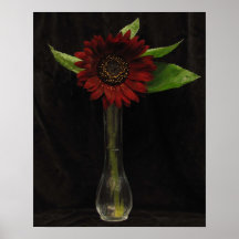 Tournesol rouge simple poster