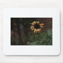 Tournesol Tapis De Souris