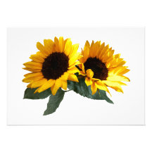 Tournesols ensoleillés faire-parts