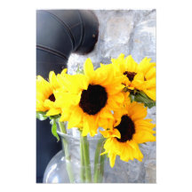 Tournesols Photographe