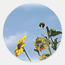 Tournesols sauvages autocollants ronds