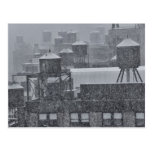 Tours d'eau de NYC pendant la tempête anormale de  Cartes Postales