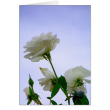 Toute occasion #5_Card_by Elenne Cartes De Vœux