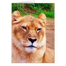 Toute occasion # 9 Card_by Elenne Boothe Cartes De Vœux