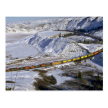 Train de grain, hiver d'Alberta, Canada Carte Postale