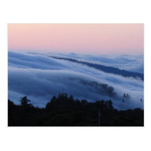 Traînée de Palo Alto Carte Postale