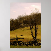 Traînée des Appalaches d'AFFICHE - Vir occidental…