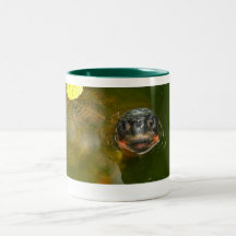 Transitoire 02 tasse
