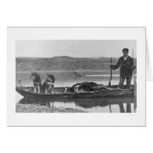 Trappeur avec des peaux et des chiens Alaska 1906 Cartes De Vœux