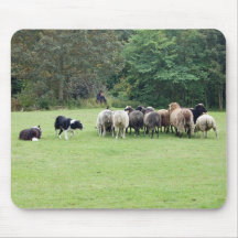 Travail de border collie tapis de souris