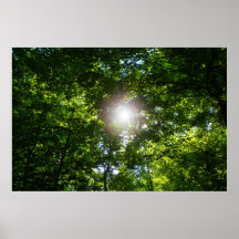 Traverser les arbres affiches