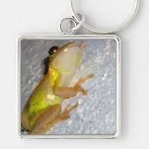 tree frog on wall watercolor style keychains