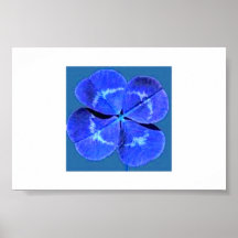 Trèfle bleu poster