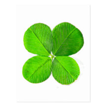 Trèfle de quatre feuilles les cadeaux de Zazzle de Carte Postale