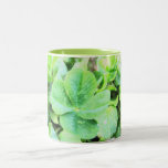 TRÈFLE DE QUATRE FEUILLES tasses