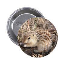 Treize ont rayé l'écureuil moulu badge