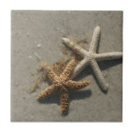 Trépied de carreau de céramique d'étoiles de mer