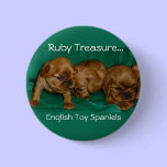 Trésor rouge, épagneuls de jouet anglais badges publicitaires