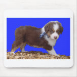 Tri chiot australien rouge tapis de souris