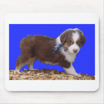 Tri chiot australien rouge tapis de souris