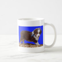 Tri chiot australien rouge tasse à café