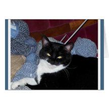 TRICOT KITTY CARTE DE VŒUX