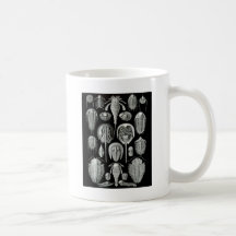 Trilobites et fossiles en noir et blanc tasse