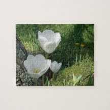 Trio blanc de fleur de tulipes puzzles