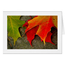 Trio de feuille carte de vœux