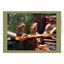 Trio de Leezard Cartes De Vœux
