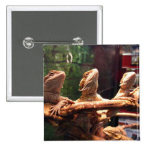 Trio de Leezard Pin's