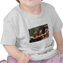 Trio de Leezard T-shirts