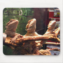Trio de Leezard Tapis De Souris