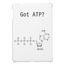 Triphosphate d'adénosine obtenu ? iPad Minicase
