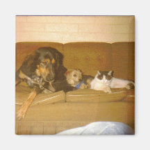 Trois amis magnets pour réfrigérateur