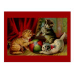 Trois chats tigrés et boules carte postale