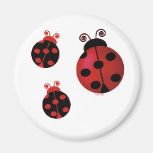 Trois coccinelles aimants pour réfrigérateur
