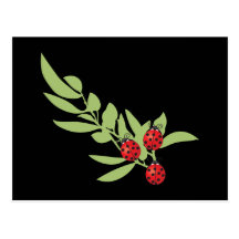 Trois coccinelles chanceuses cartes postales