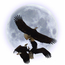 TROIS EAGLES CHAUVES de COMBAT ont sculpté le cade Photo Sculptures