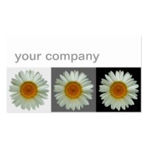 Trois marguerites modèles de cartes de visite
