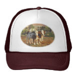 Trois petits veaux casquettes de camionneur
